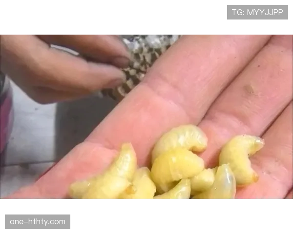 勒布朗家冰箱里塞满蛋白粉，连冰块都是鸡胸肉味的